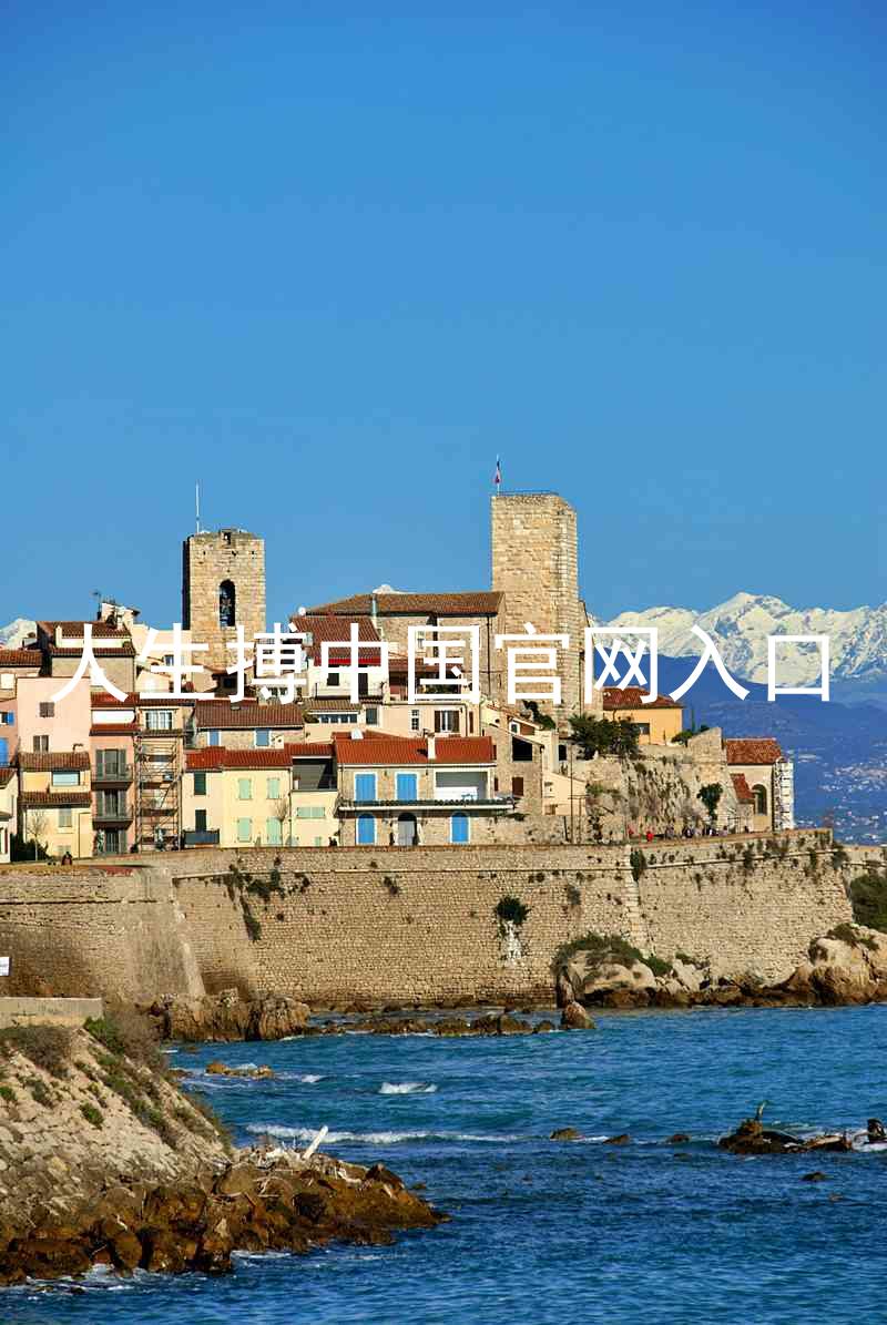 人生搏中国官网入口